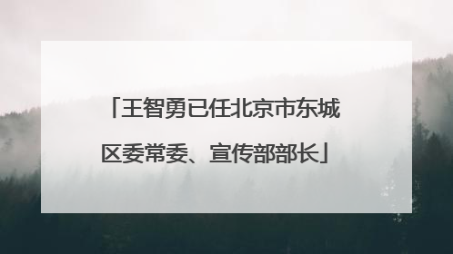 王智勇已任北京市东城区委常委、宣传部部长