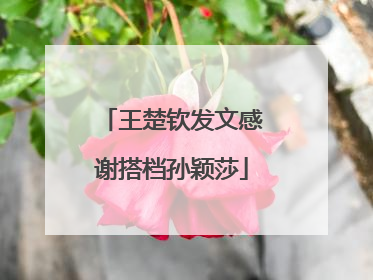 王楚钦发文感谢搭档孙颖莎
