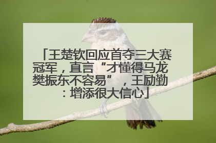 王楚钦回应首夺三大赛冠军，直言“才懂得马龙樊振东不容易”，王励勤：增添很大信心