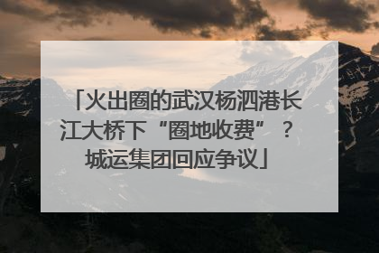 火出圈的武汉杨泗港长江大桥下“圈地收费”？城运集团回应争议