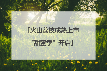 火山荔枝成熟上市 “甜蜜季”开启