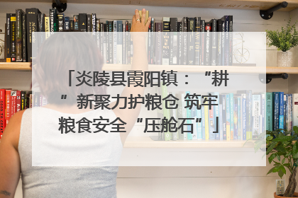 炎陵县霞阳镇：“耕”新聚力护粮仓 筑牢粮食安全“压舱石”