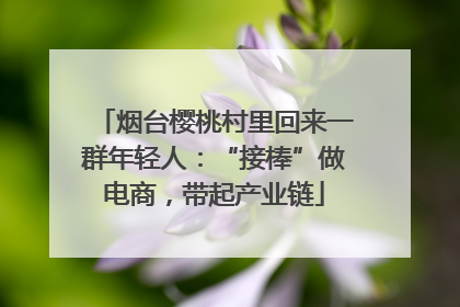 烟台樱桃村里回来一群年轻人：“接棒”做电商，带起产业链