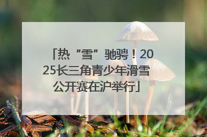 热“雪”驰骋！2025长三角青少年滑雪公开赛在沪举行
