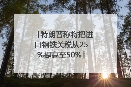 特朗普称将把进口钢铁关税从25%提高至50%