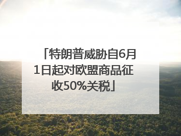 特朗普威胁自6月1日起对欧盟商品征收50%关税