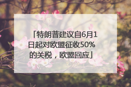 特朗普建议自6月1日起对欧盟征收50%的关税，欧盟回应