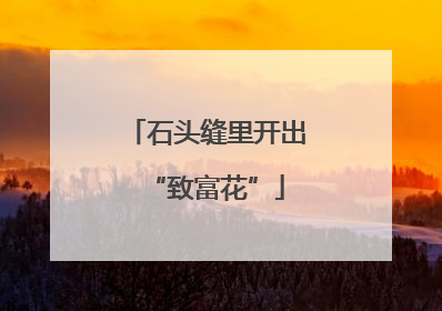 石头缝里开出“致富花”