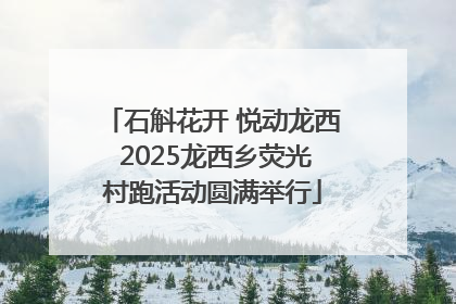 石斛花开 悦动龙西 2025龙西乡荧光村跑活动圆满举行