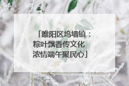睢阳区坞墙镇：粽叶飘香传文化 浓情端午聚民心