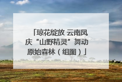 琼花绽放 云南凤庆“山野精灵”舞动原始森林（组图）
