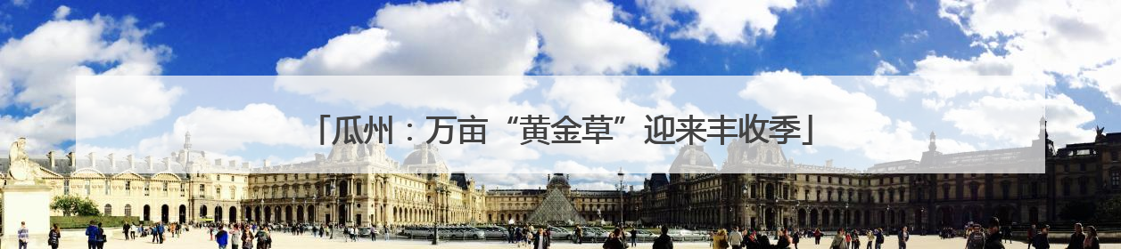 瓜州：万亩“黄金草”迎来丰收季