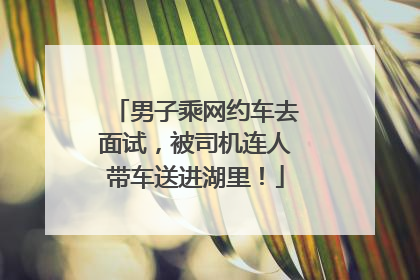 男子乘网约车去面试，被司机连人带车送进湖里！
