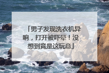 男子发现洗衣机异响，打开被吓晕！没想到竟是这玩意