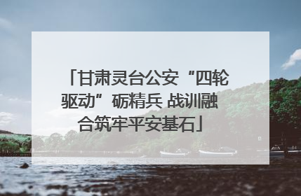 甘肃灵台公安“四轮驱动”砺精兵 战训融合筑牢平安基石