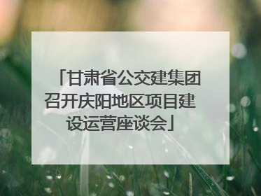 甘肃省公交建集团召开庆阳地区项目建设运营座谈会