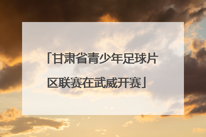 甘肃省青少年足球片区联赛在武威开赛
