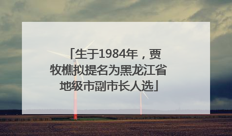 生于1984年，贾牧樵拟提名为黑龙江省地级市副市长人选