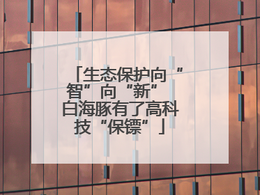 生态保护向“智”向“新” 白海豚有了高科技“保镖”