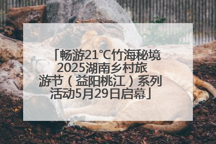 畅游21℃竹海秘境 2025湖南乡村旅游节（益阳桃江）系列活动5月29日启幕