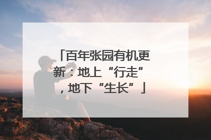 百年张园有机更新：地上“行走”，地下“生长”