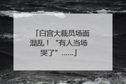 白宫大裁员场面混乱！“有人当场哭了”……