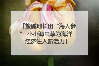 盐碱地长出“海人参” 小小海虫草为海洋经济注入新活力