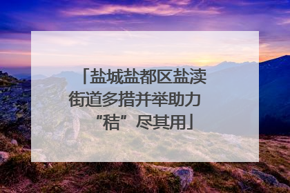 盐城盐都区盐渎街道多措并举助力“秸”尽其用