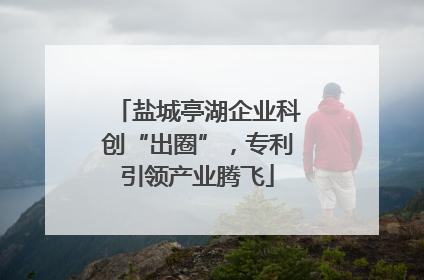盐城亭湖企业科创“出圈”，专利引领产业腾飞