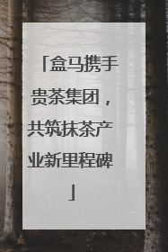 盒马携手贵茶集团，共筑抹茶产业新里程碑