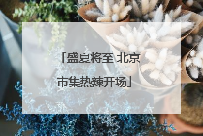 盛夏将至 北京市集热辣开场