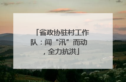 省政协驻村工作队：闻“汛”而动，全力抗洪