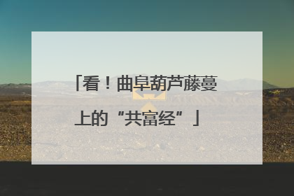 看！曲阜葫芦藤蔓上的“共富经”