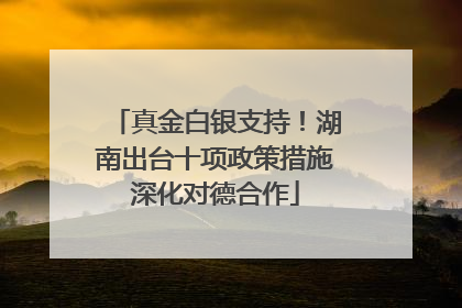 真金白银支持！湖南出台十项政策措施深化对德合作