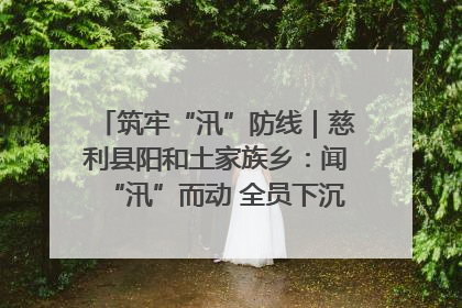 筑牢“汛”防线｜慈利县阳和土家族乡：闻“汛”而动 全员下沉筑牢防汛“安全堤”