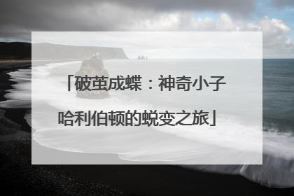 破茧成蝶：神奇小子哈利伯顿的蜕变之旅