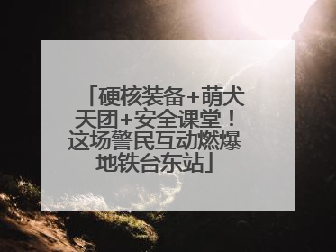 硬核装备+萌犬天团+安全课堂！这场警民互动燃爆地铁台东站
