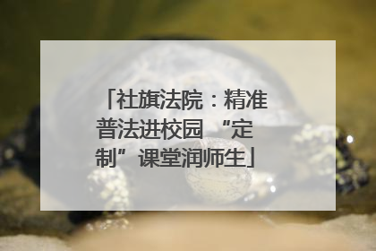 社旗法院：精准普法进校园 “定制”课堂润师生