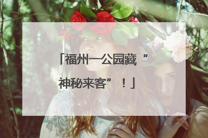 福州一公园藏“神秘来客”！
