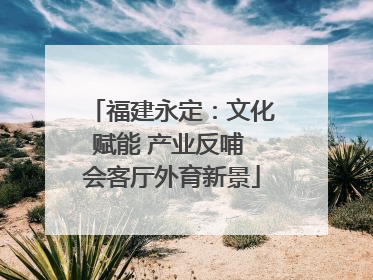 福建永定：文化赋能 产业反哺 会客厅外育新景