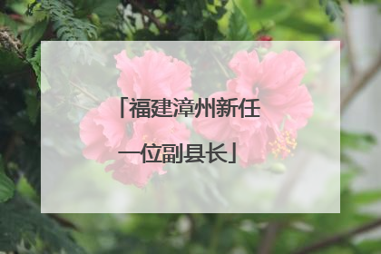 福建漳州新任一位副县长
