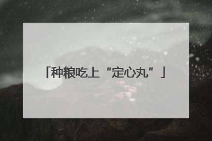 种粮吃上“定心丸”