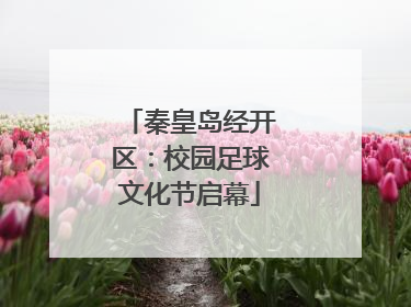 秦皇岛经开区：校园足球文化节启幕