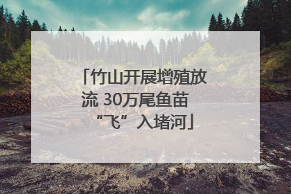 竹山开展增殖放流 30万尾鱼苗“飞”入堵河