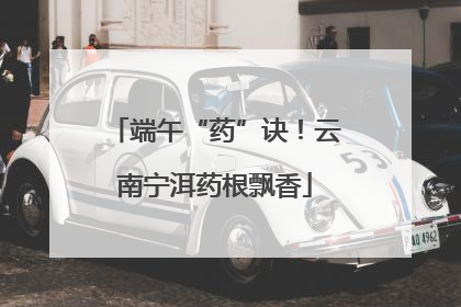 端午“药”诀！云南宁洱药根飘香