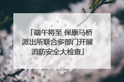 端午将至 保康马桥派出所联合多部门开展消防安全大检查