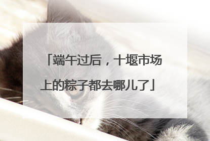 端午过后，十堰市场上的粽子都去哪儿了