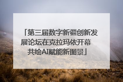 第三届数字新疆创新发展论坛在克拉玛依开幕 共绘AI赋能新图景