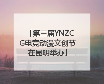 第三届YNZCG电竞动漫文创节在昆明举办