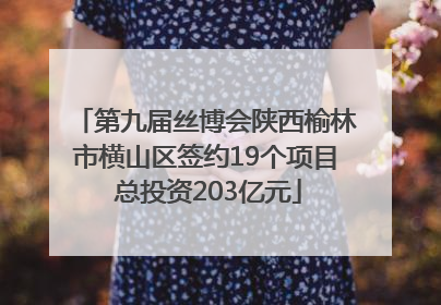第九届丝博会陕西榆林市横山区签约19个项目 总投资203亿元